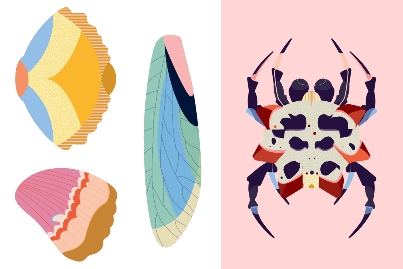 eng.png